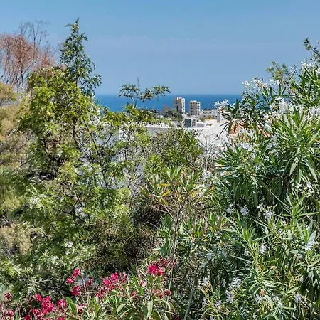 Stunning 2 Bedroom In Aloha Royal Rdr345 *